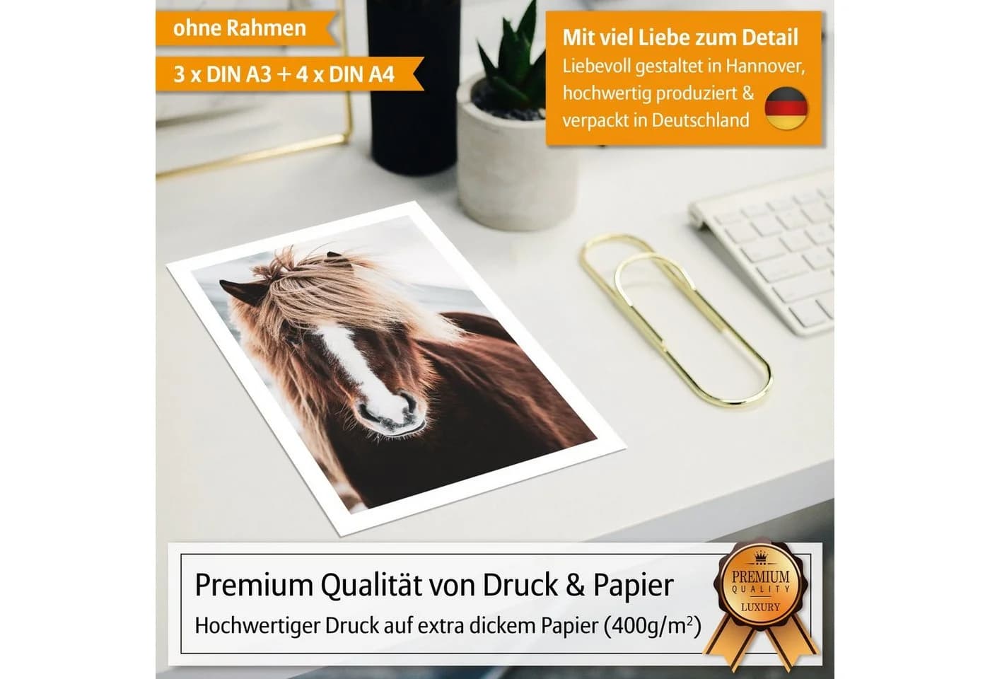 none - Bild 3