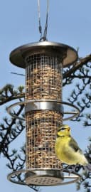 Spetebo Vogelhaus Edelstahl Vogelfutterhaus mit 2 Sitzringen Bild 1