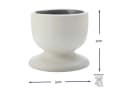 WestCraft Eierbecher TINT 2-tlg. Porzellan Weiß Farbhighlight Bild 1
