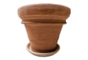 Teramico Blumentopfuntersetzer Pflanzteller Terrakotta 36cm Hell Bild 3