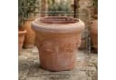 Teramico Blumentopf Terrakotta Limone mit Untersetzer 26cm Bild 3