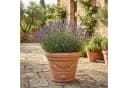 Teramico Blumentopf Festonato Terrakotta Ø 41 cm Bild 4