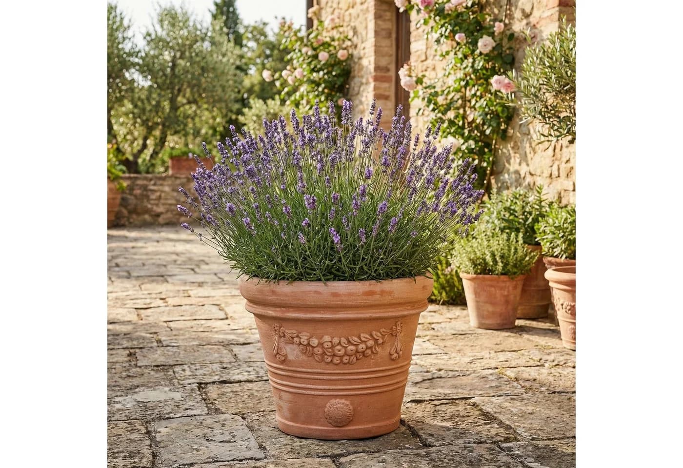Teramico Blumentopf Festonato Terrakotta Ø 41 cm - Bild 4