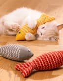 HomeBella Katzenspielzeug mit Katzenminze K-12 Kauspielzeug für Katzen Bild 1