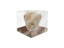 Marvel Groot 3D Tasse Dolomit 500 ml Bild 2