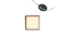 none Bild 2