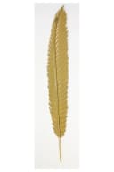Dekoleidenschaft Wanddeko Feder aus Metall Gold 99 cm Bild 3