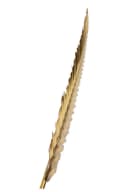 Dekoleidenschaft Wanddeko Feder aus Metall Gold 99 cm Bild 4