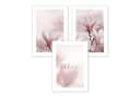 Kreative Feder Poster Premium Set 3-teilig „Magnolie“ Rosa Bild 2