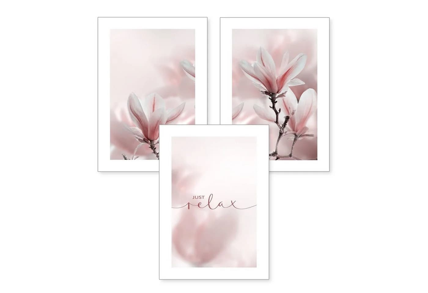 Kreative Feder Poster Premium Set 3-teilig „Magnolie“ Rosa - Bild 2
