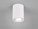 TRIO Leuchten LED Deckenstrahler Weiß Dimmbar Schwenkbar GU10 Bild 1
