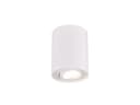 TRIO Leuchten LED Deckenstrahler Weiß Dimmbar Schwenkbar GU10 Bild 2