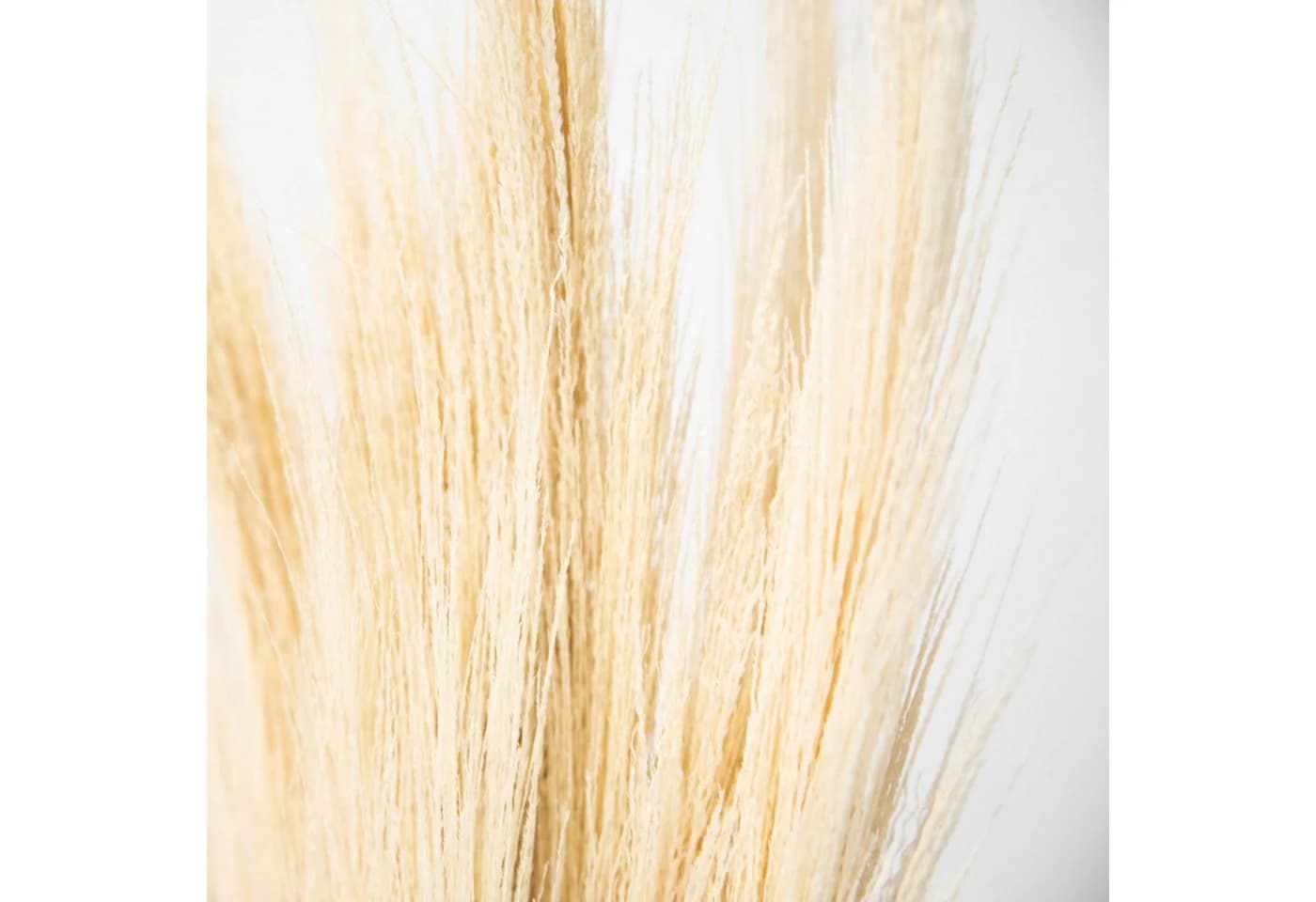 coco+cozy Trockenblume Besengras Bund ca. 70cm Beige - Bild 3