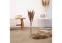 Mini Pampasgras Reed Bunch 70 cm, 10-15 Stiele, coco+cozy Bild 4