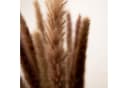 Mini Pampasgras Reed Bunch 70 cm, 10-15 Stiele, coco+cozy Bild 5