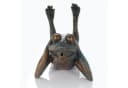 esotec Wasserspeier Solar Komplettset Frosch liegend Bild 4