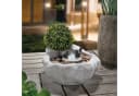 esotec Solarbrunnen Vogelbad Grau mit LED-Licht Bild 2