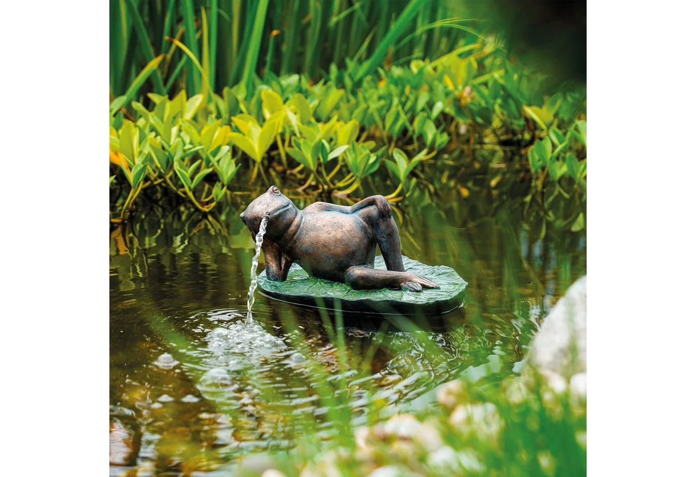 esotec Wasserspeier Frosch auf Seerosenblatt mit Schlauch - Bild 5