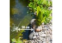 esotec Solar Wasserspeier Frosch Komplettset mit Pumpe Bild 3