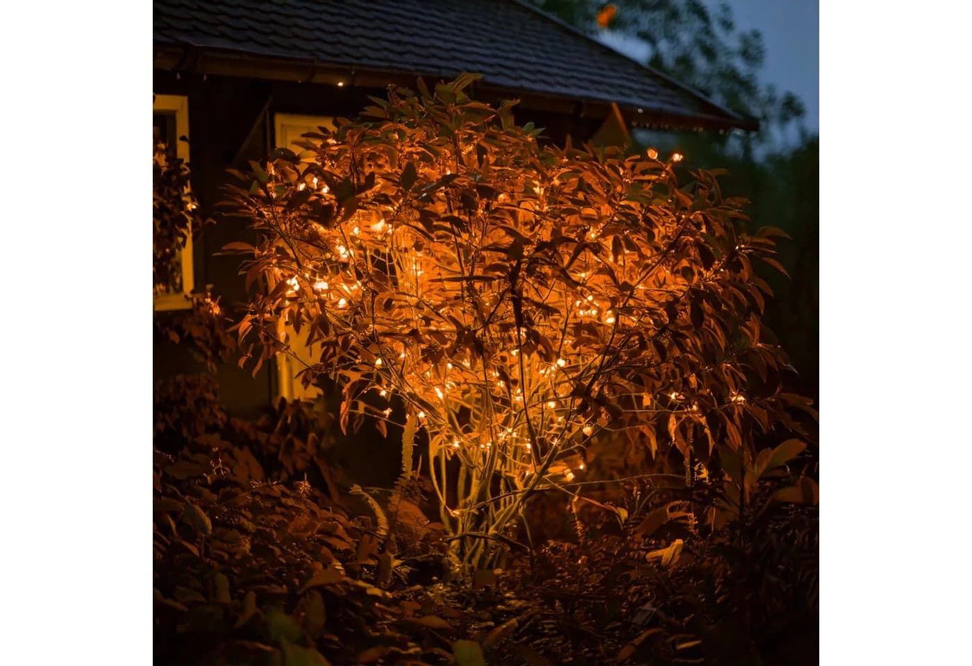 esotec LED-Lichterkette 60 bernstein-LEDs 6m + 2m Zuleitung Solar - Bild 2