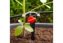 esotec Solar Bewässerungssystem WaterDrops 50 mit 50 Tropfern Grau Bild 1