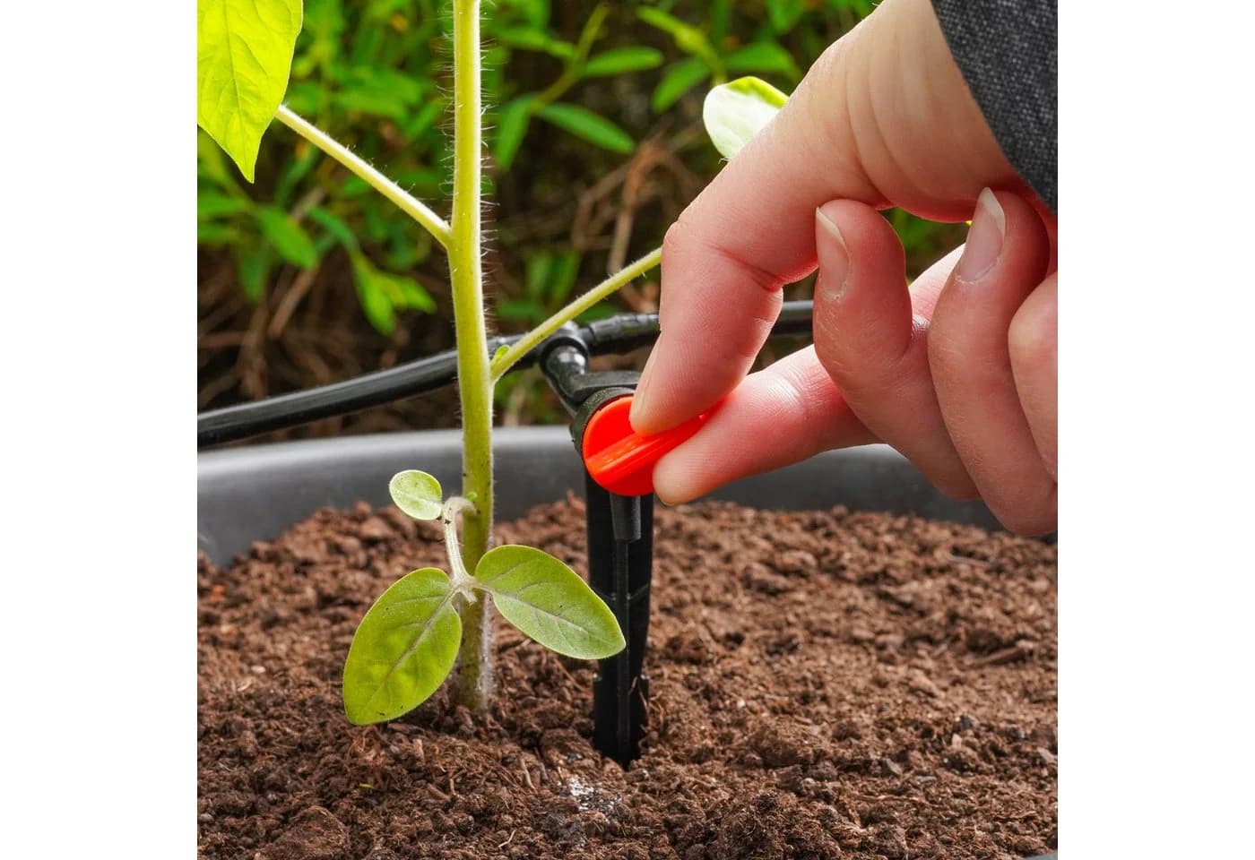 esotec Solar Bewässerungssystem WaterDrops 50 mit 50 Tropfern Grau - Bild 4