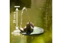 esotec Solar Wasserspeier Treibender Frosch mit Pumpe Bild 3