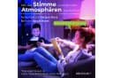 SSC-LUXon LED Außen-Wandleuchte Grau Smart RGB WLAN Dimmbar Bild 3