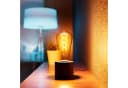 SSC-LUXon LED Tisch- & Wandlampe NAMBI Schwarz Industrial Retro Bild 4