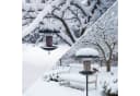 Die Bold GmbH Vogelhaus Picky, zum Hinstellen oder Aufhängen Bild 5