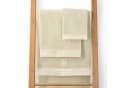Blumtal Waschhandschuh 10er Set Frottee 15x20 cm Beige Bild 4