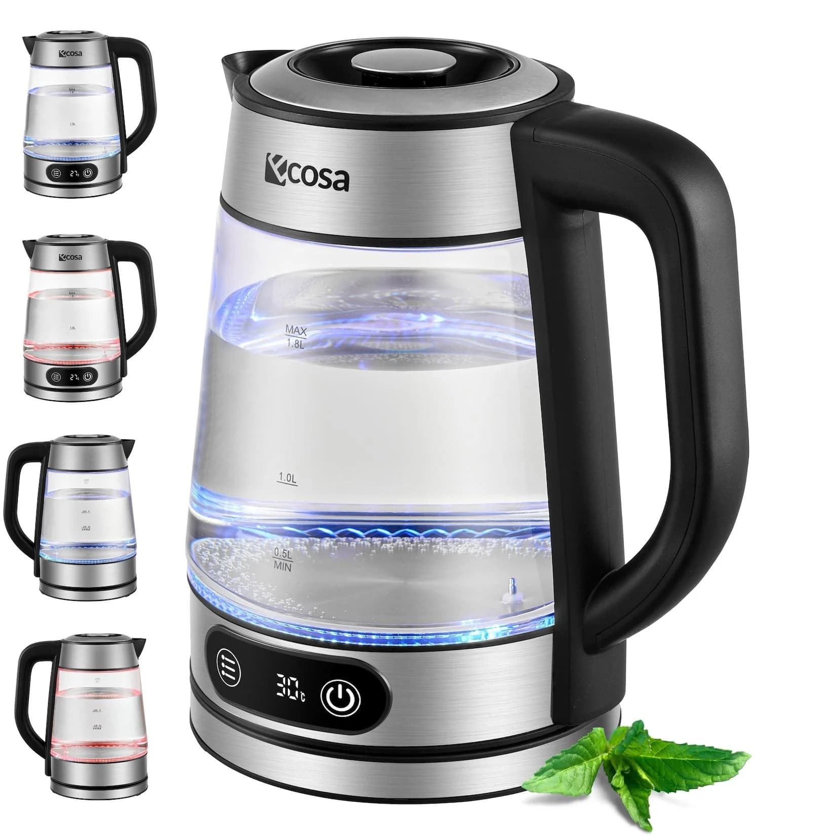 Ecosa Glas Wasserkocher mit Temperatureinstellung 1,8L 2200W