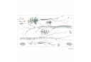 nikima Wandtattoo Wald Aquarell PVC-Folie Bild 1