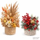 Creativery Bastelmoos Trocken Steckschaum Rund 8x5cm für Trockenblumen & Kunstblumen 4er Set Bild 5