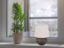 Reality Leuchten LED Tischleuchte Beige Keramik & Stoff Bild 1
