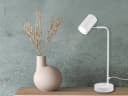 TRIO Leuchten LED Schreibtischlampe Weiß Dimmbar Bild 1