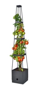 Spetebo Rankhilfe Tomaten Rankhilfe im Topf - 150cm H Bild 2