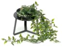 DanDiBo Blumenhocker Metall Schwarz Silber Modern Bild 5
