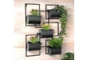 DanDiBo Blumenständer Kräuterregal Wand Metall Schwarz 5 Halter Bild 2