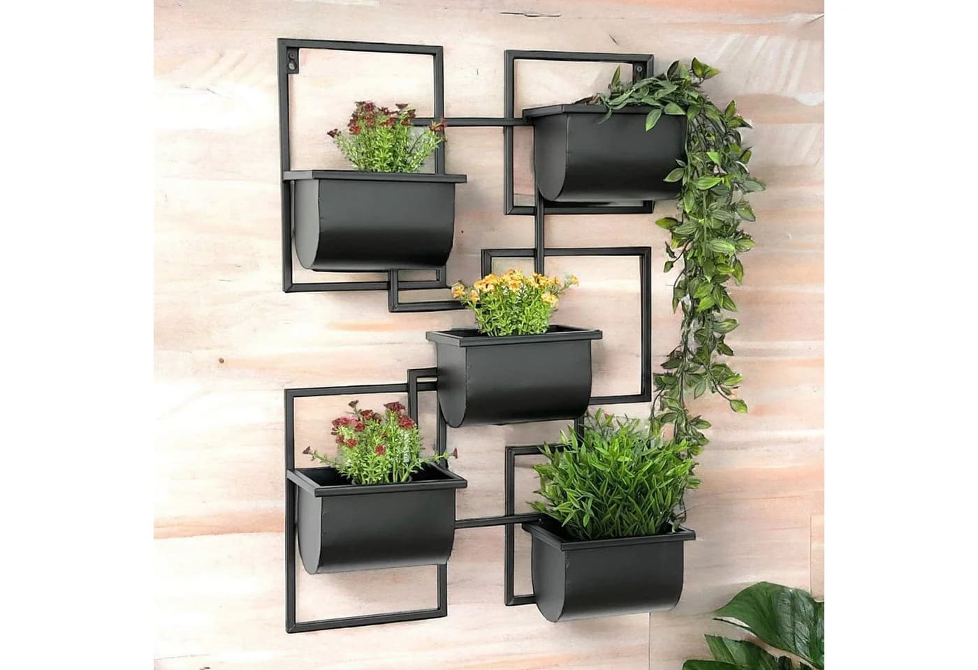 DanDiBo Blumenständer Kräuterregal Wand Metall Schwarz 5 Halter - Bild 2