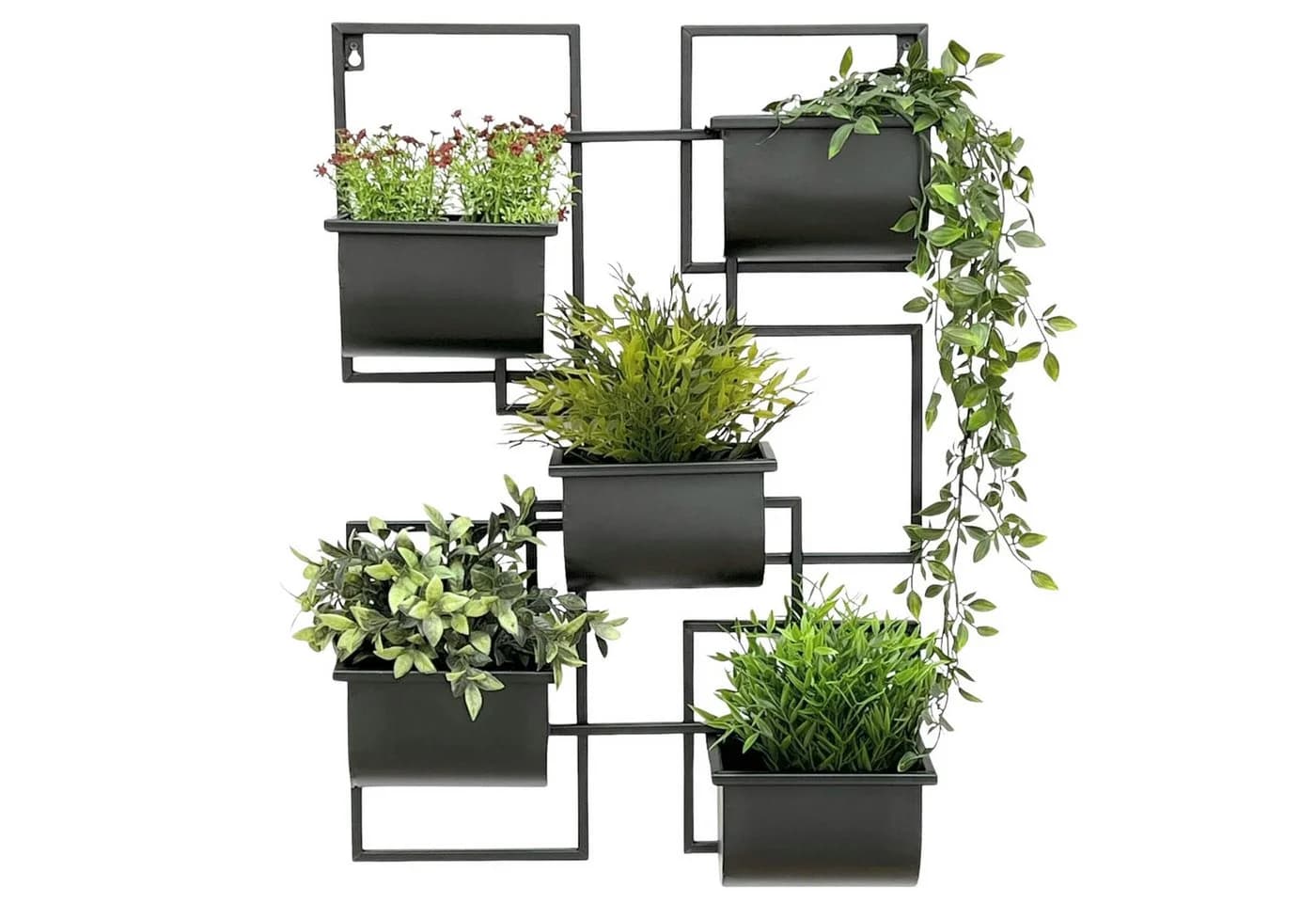 DanDiBo Blumenständer Kräuterregal Wand Metall Schwarz 5 Halter - Bild 5
