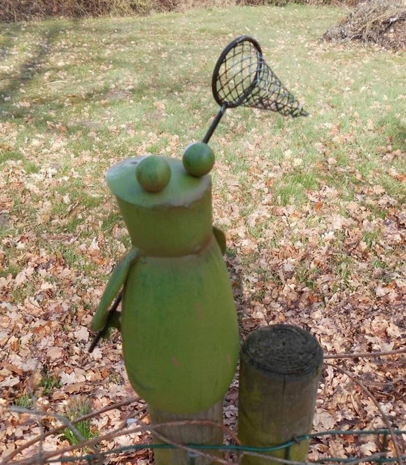 Deko-Impression Zaunhocker Frosch mit Kescher Gartendekoration Eisen