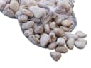 Deko-Impression Flusskiesel Creme 3 Kilo 1-3 cm Dekosteine Zierkies Bild 2