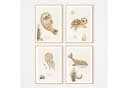 MeinBaby123® Poster Kinderzimmer Meerestiere Unterwasserwelt Bild 2