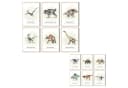 MeinBaby123® Poster Dinosaurier Grün Kinderzimmer Deko Bild 2