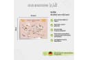 MeinBaby123® Poster Lernposter Alphabet Zahlen Mathe Formen Rosa Bild 4