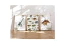 MeinBaby123® Poster Dinosaurier Bunt Kinderzimmer Wandbilder Bild 2