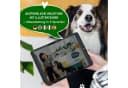 Amari Bilderrahmen-Set Pfotenabdruck Set Hund Katze Bild 5