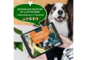 Amari Pfotenschutz AMARI® Pfotenabdruck Set inkl. 2 Stempelkissen und 4 Druckkarten Bild 5