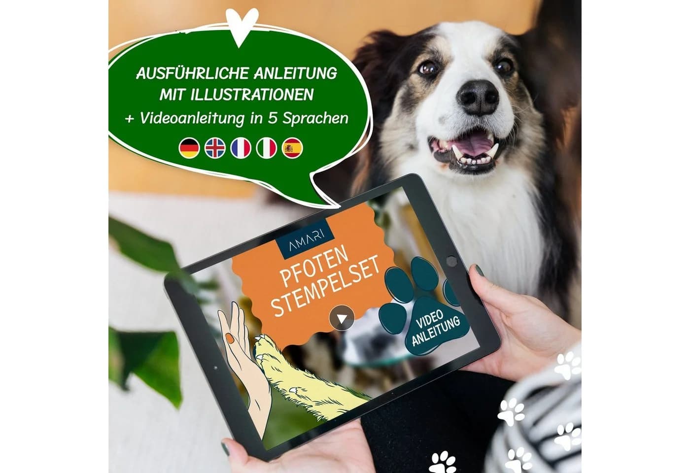 Amari Pfotenschutz AMARI® Pfotenabdruck Set inkl. 2 Stempelkissen und 4 Druckkarten - Bild 5